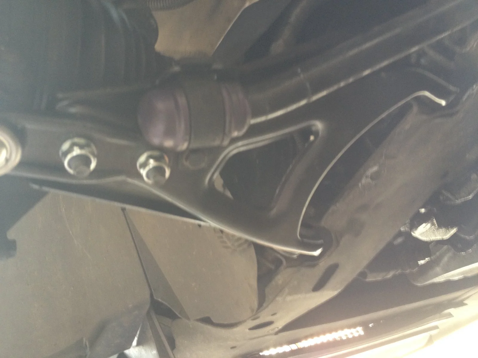 image.webp