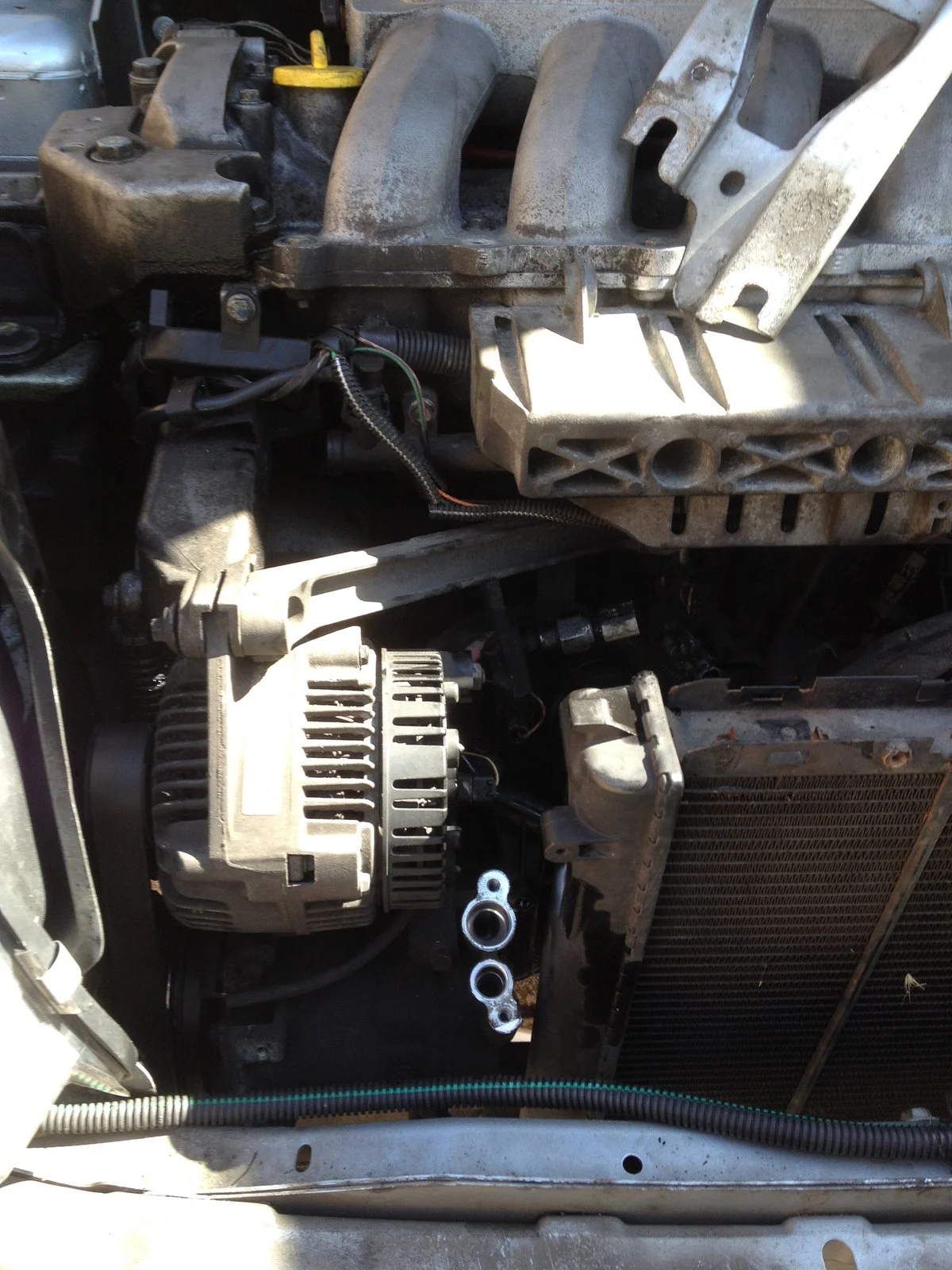 image.webp