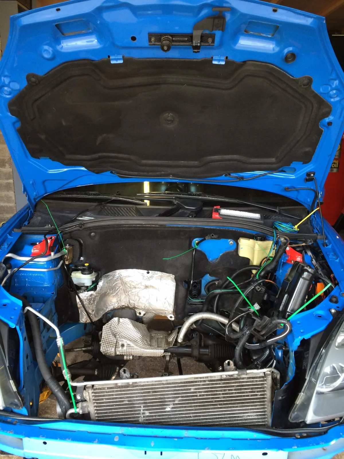 image.webp