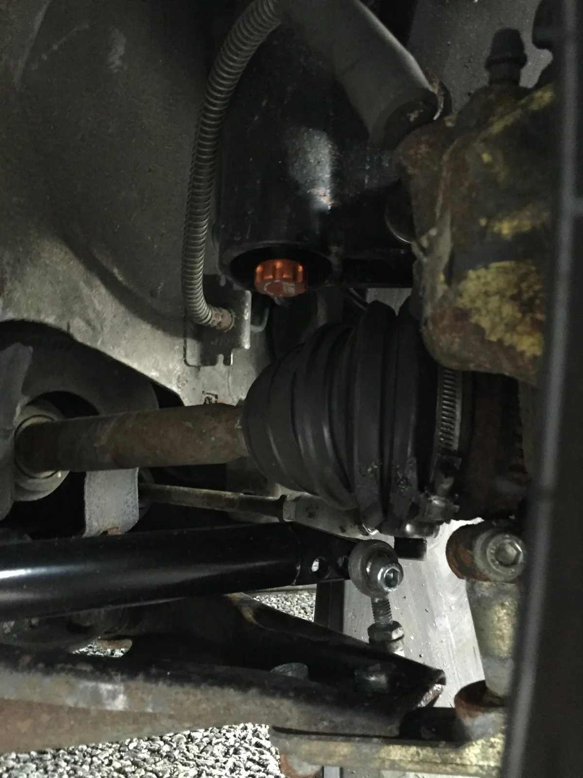image.webp