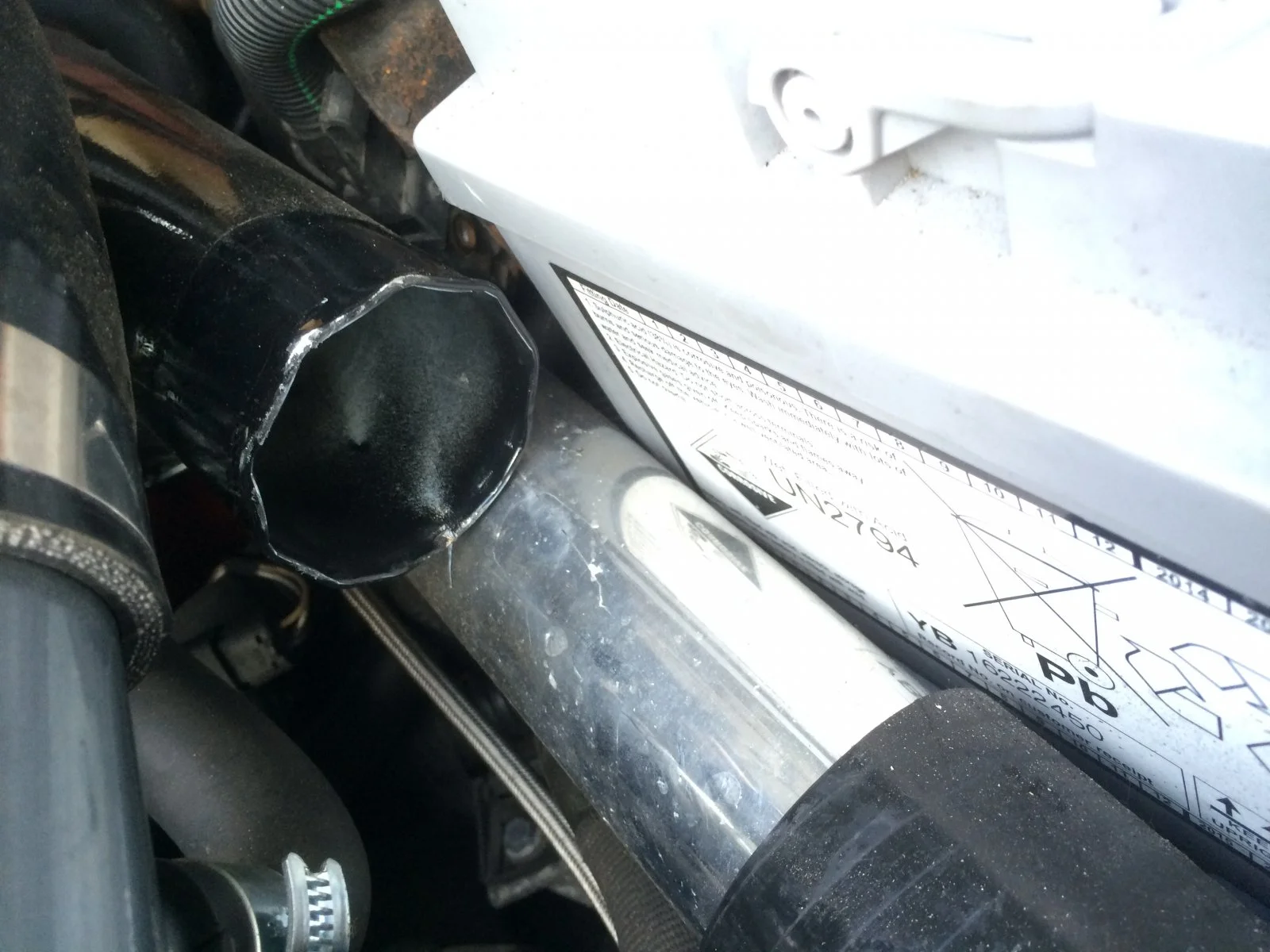 image.webp