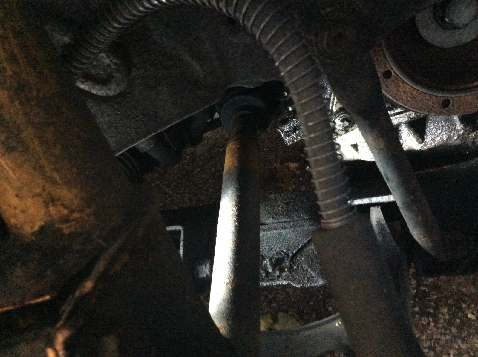 image.webp