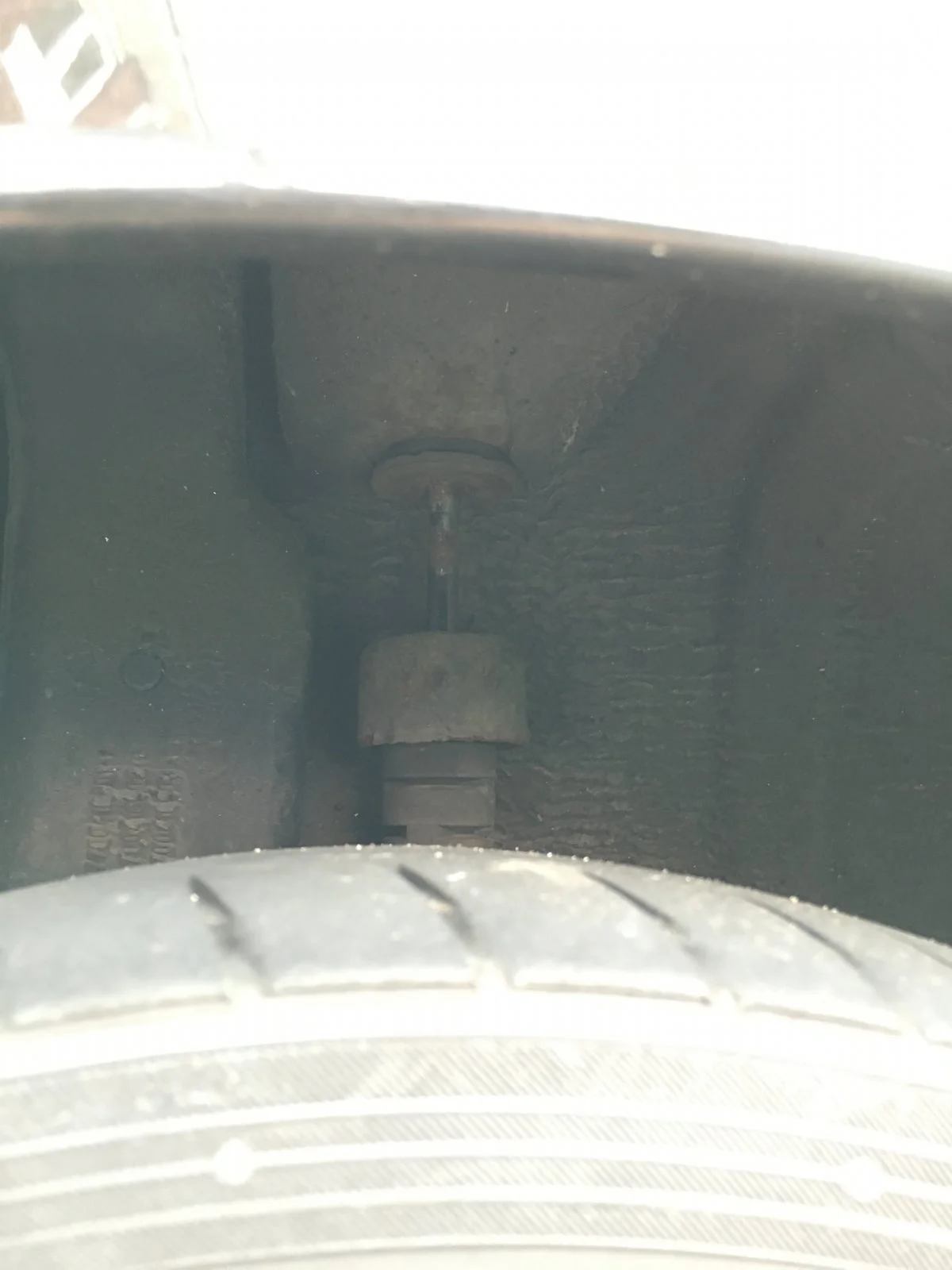 image.webp