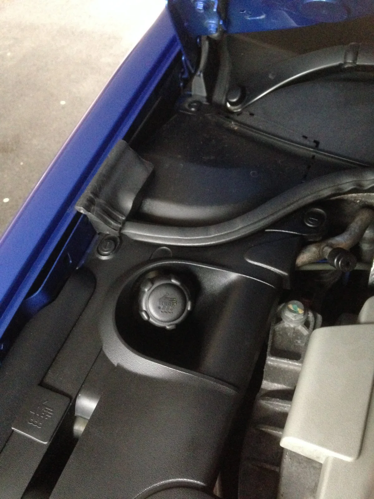 image.webp
