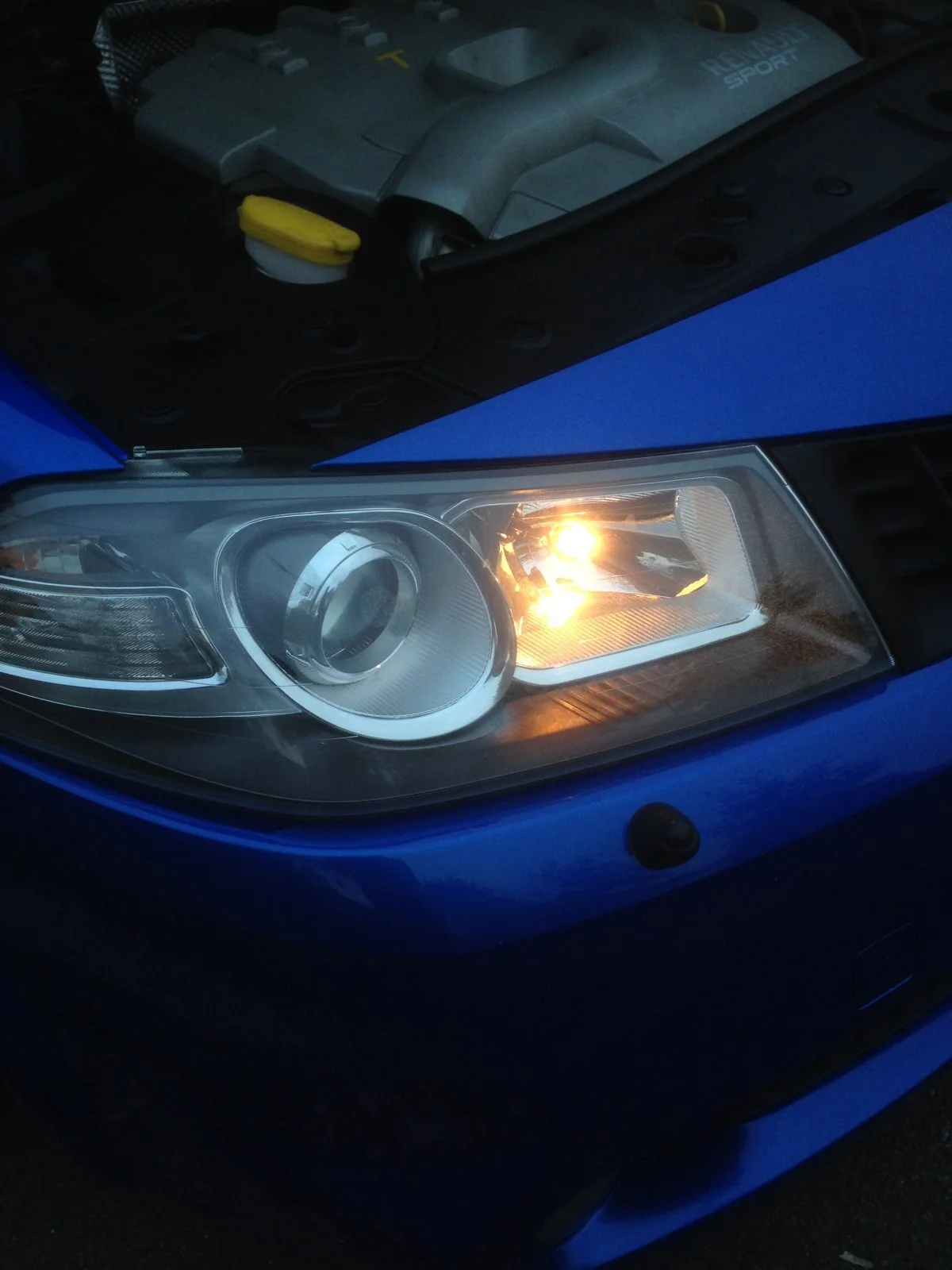 image.webp