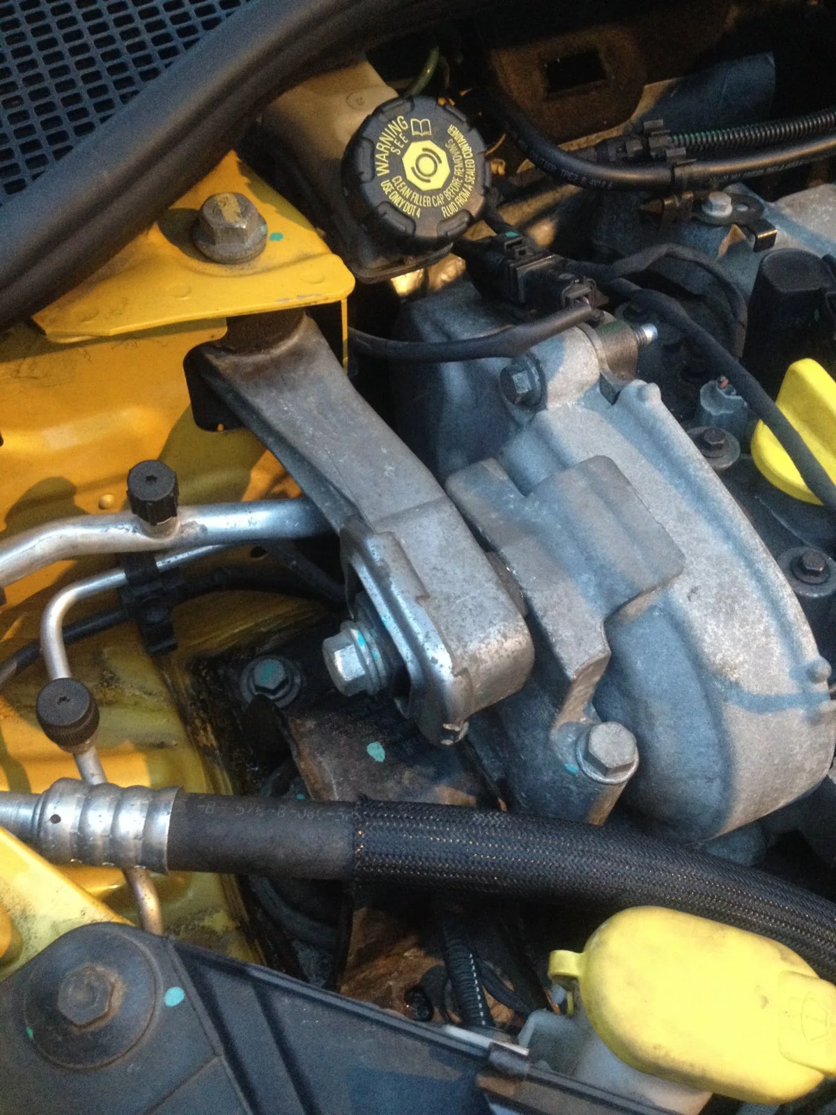 image.webp