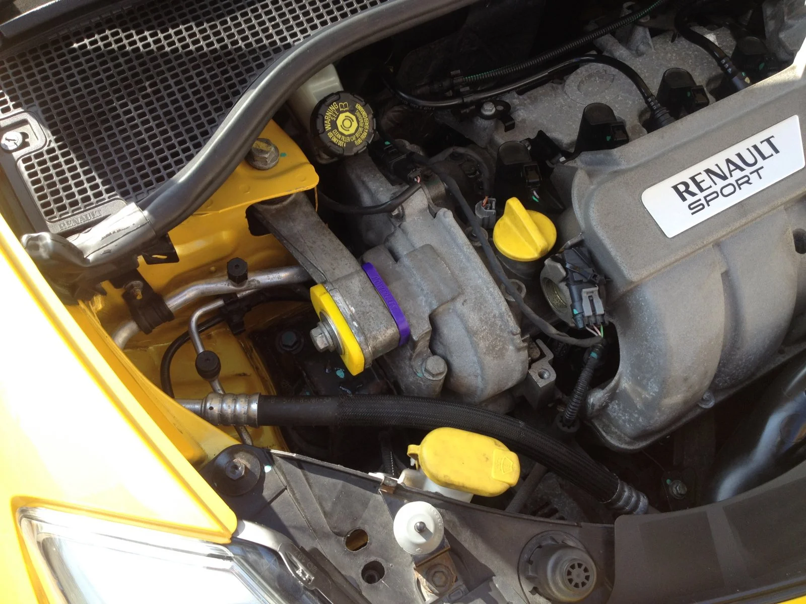 image.webp