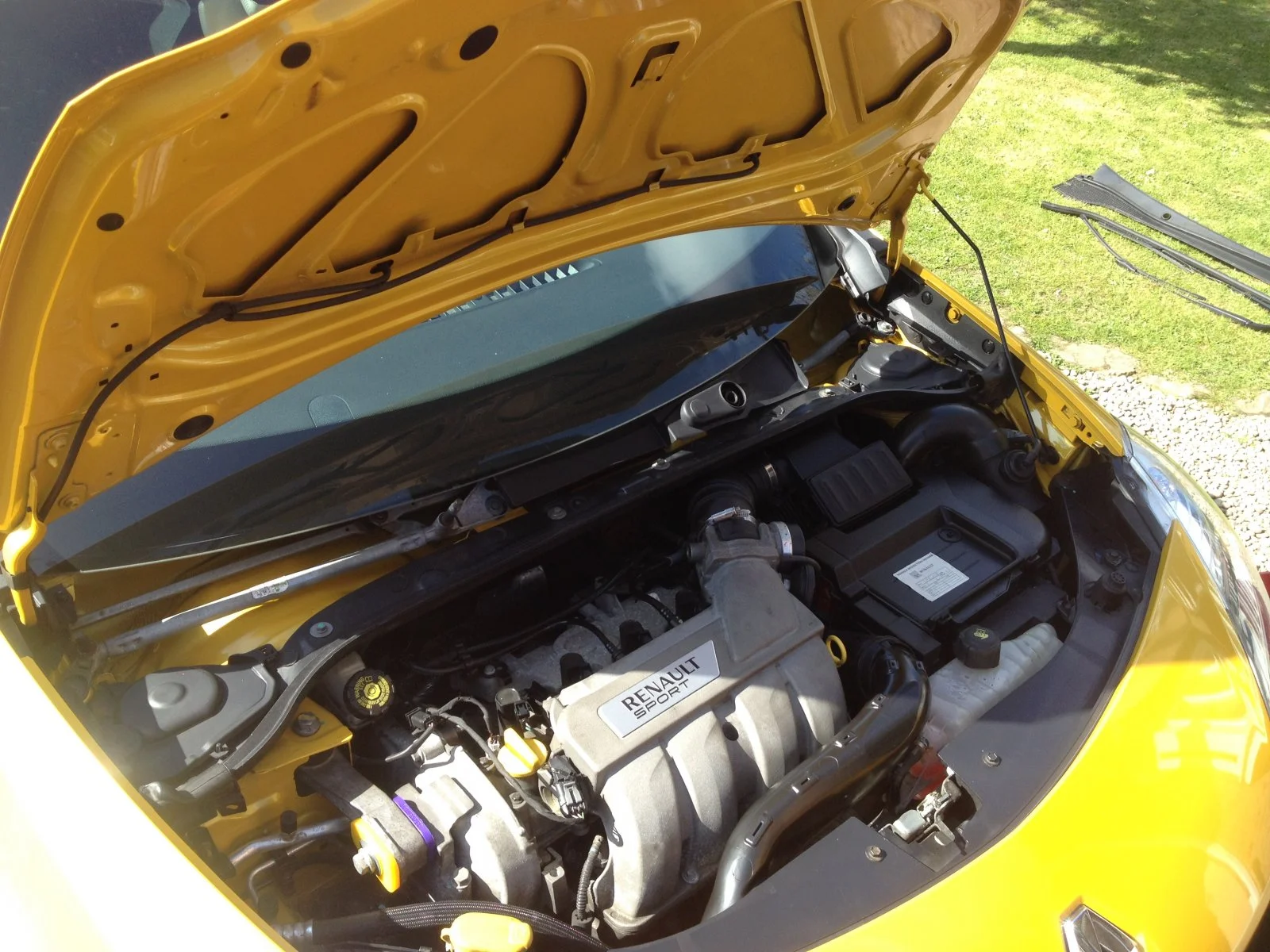 image.webp