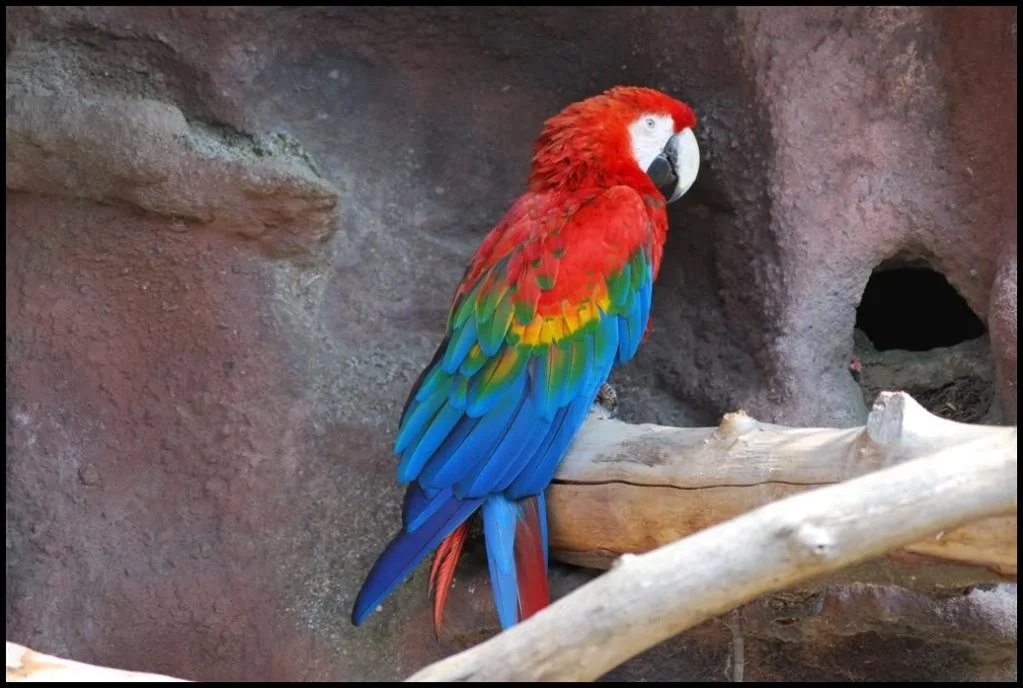 Image00001.webp