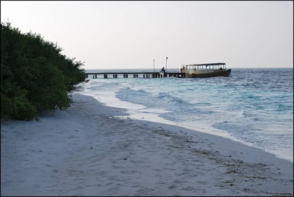 Image00003.webp