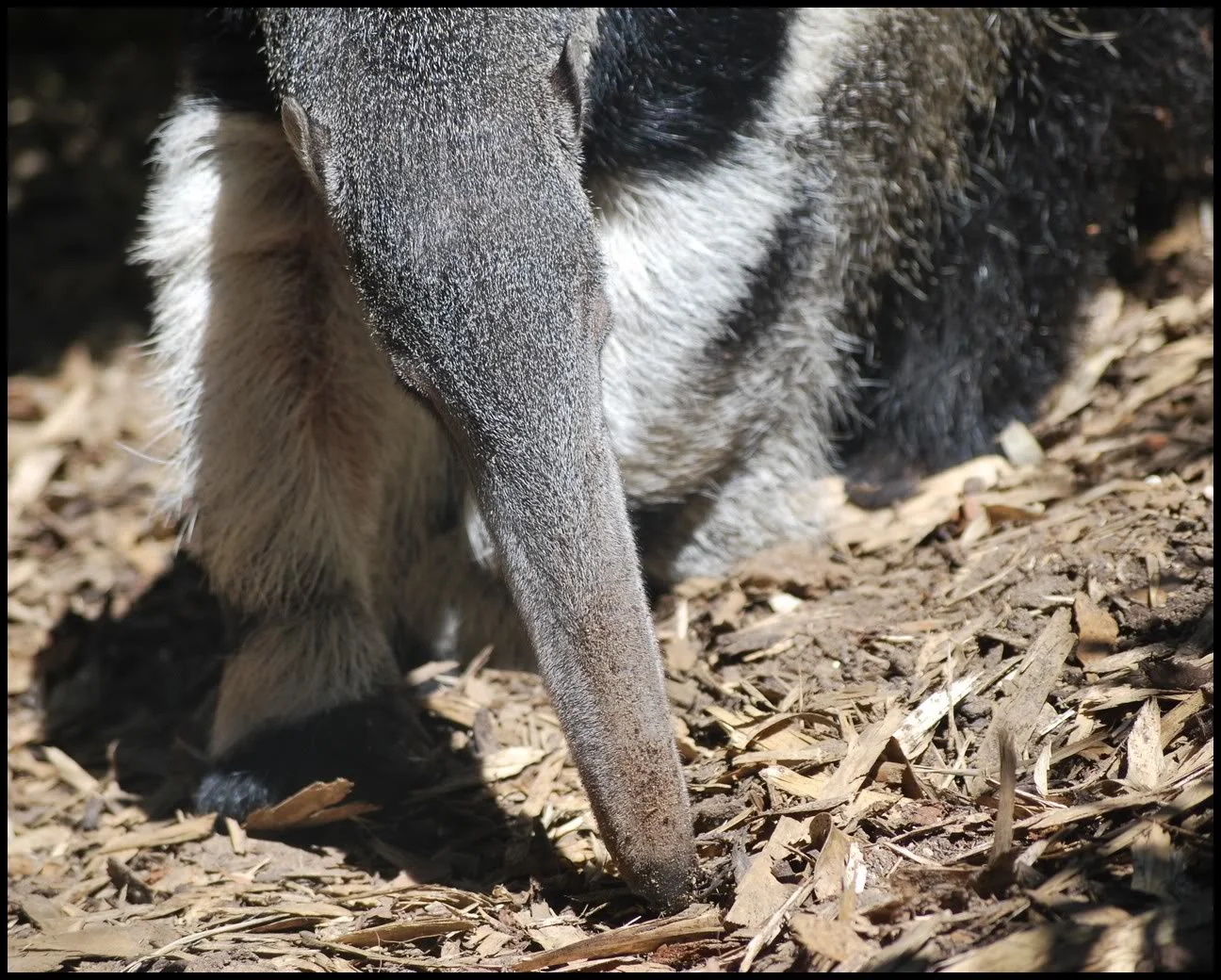 Image00006.webp