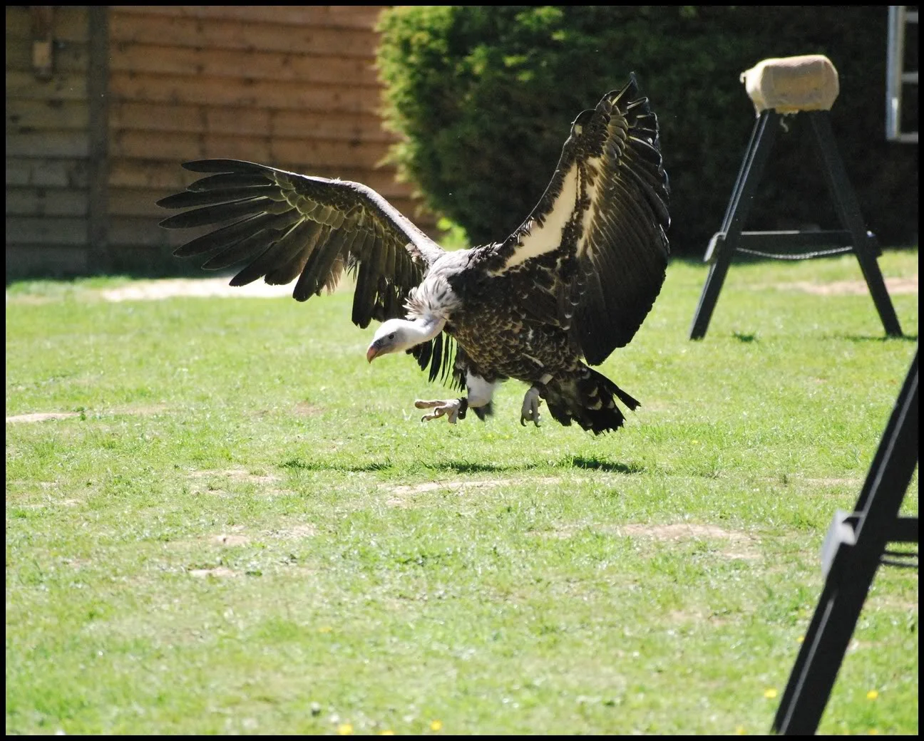 Image00009.webp