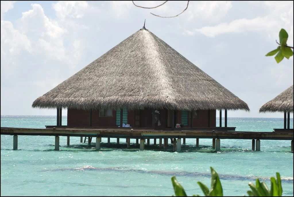 Image00011.webp