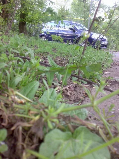 Image002.webp
