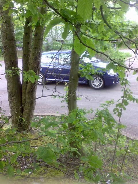 Image003.webp