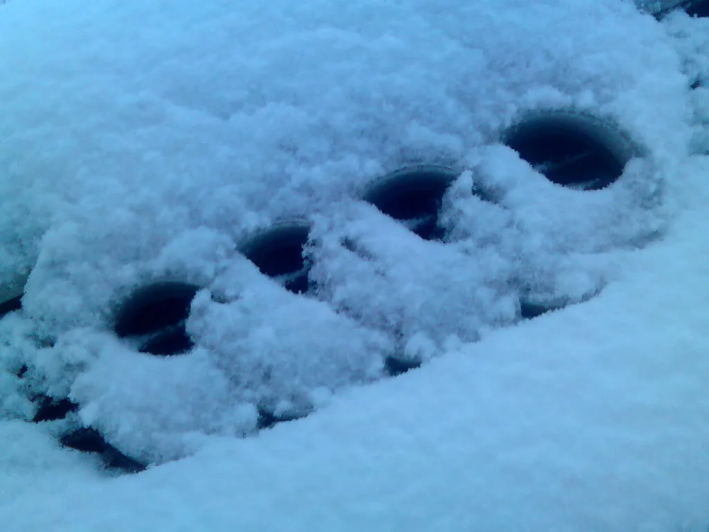 Image018.webp