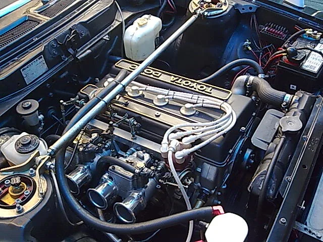 Image018.webp