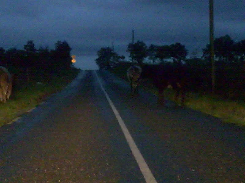 Image024.webp