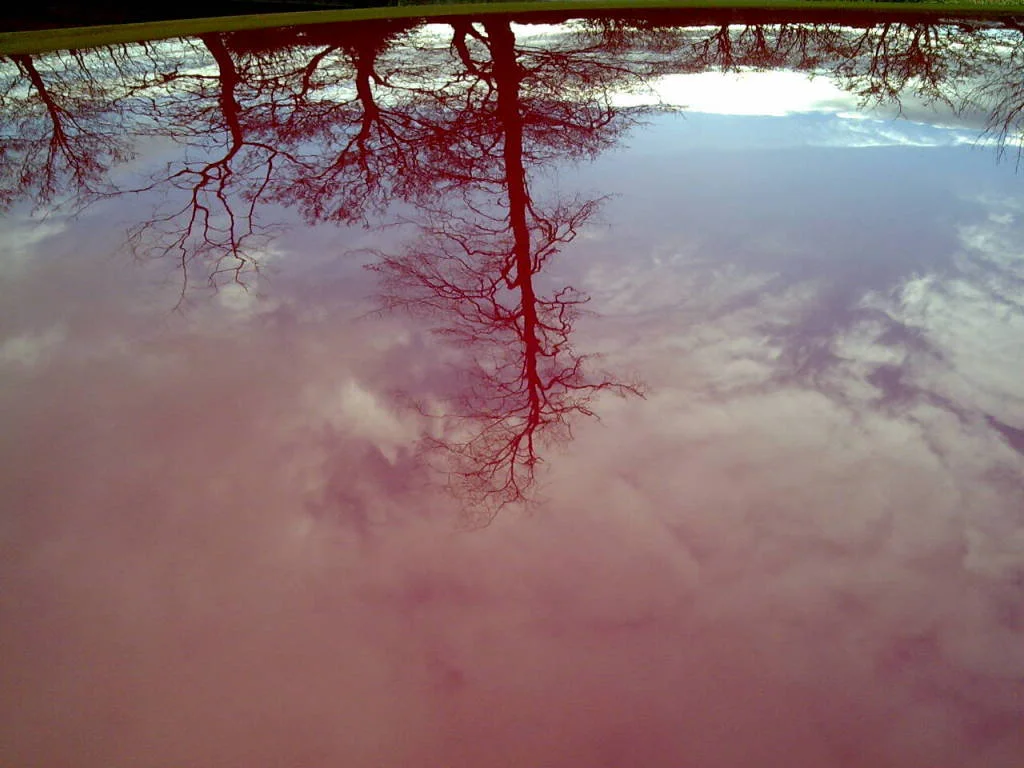 Image026.webp