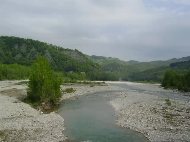 image029.webp