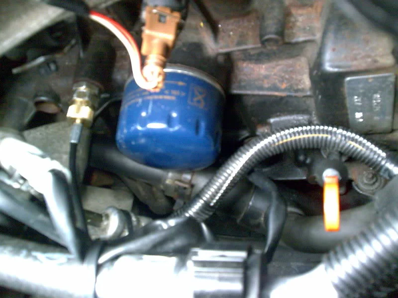 Image031.webp