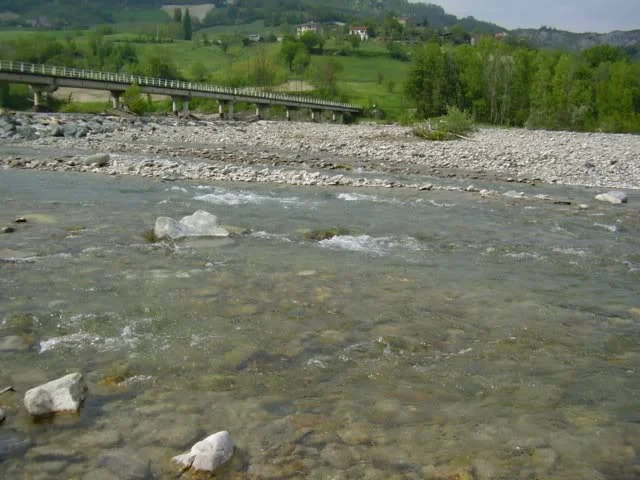 image043.webp