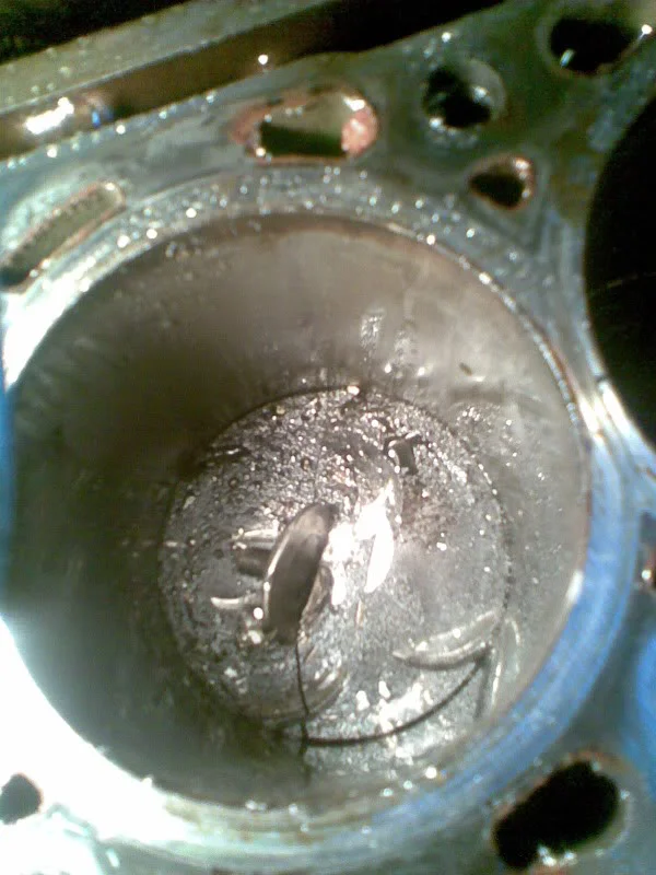Image044.webp