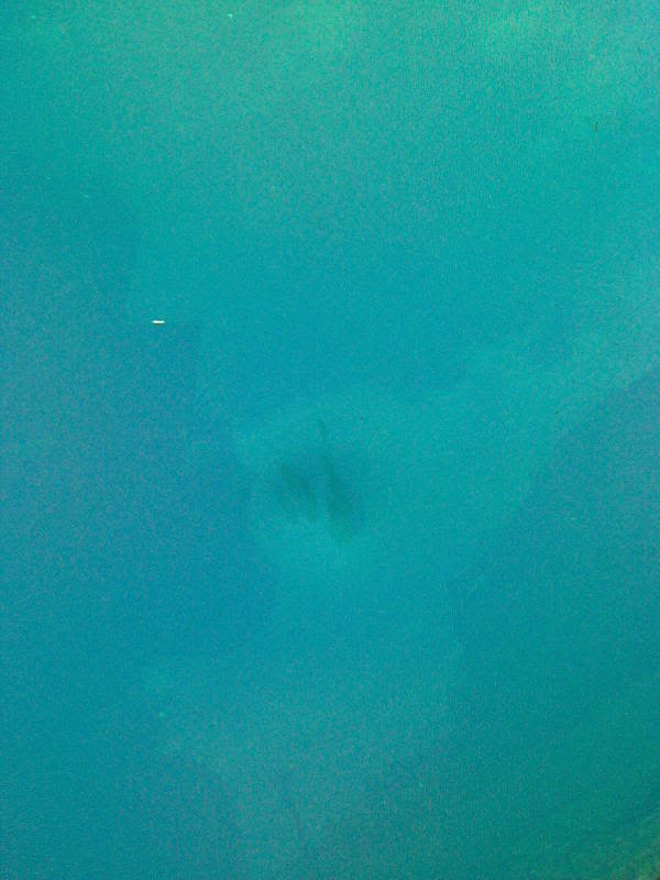 Image095.jpg