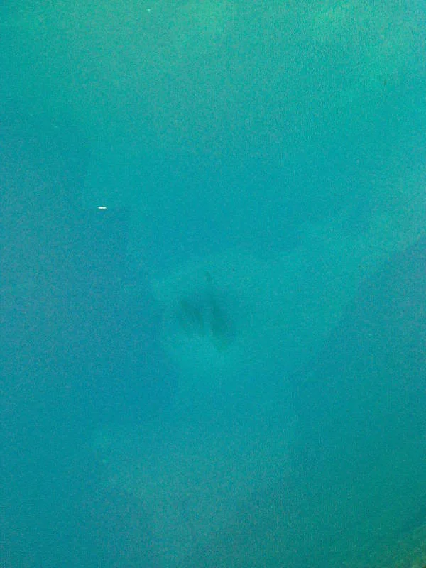 Image095.webp