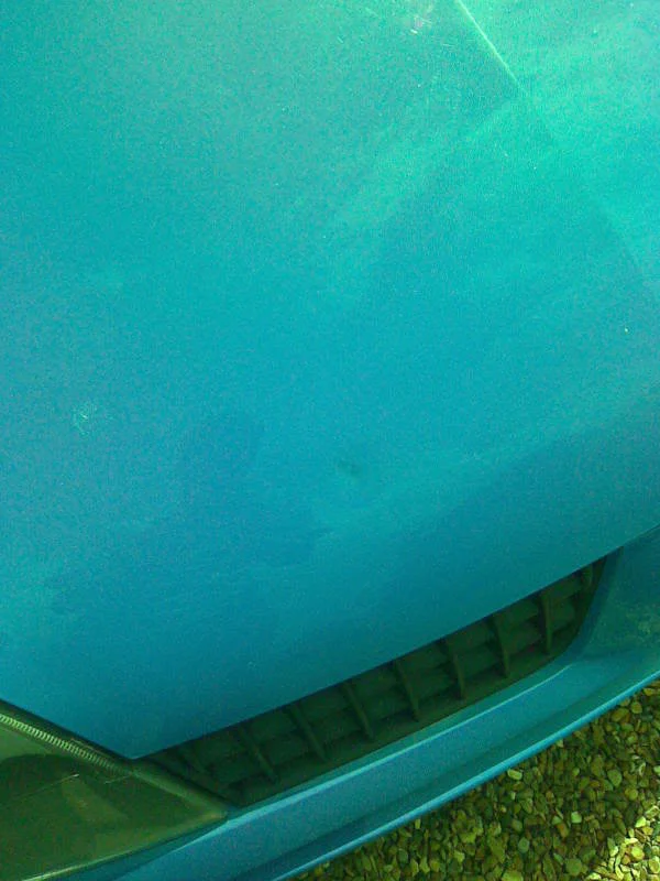 Image096.webp