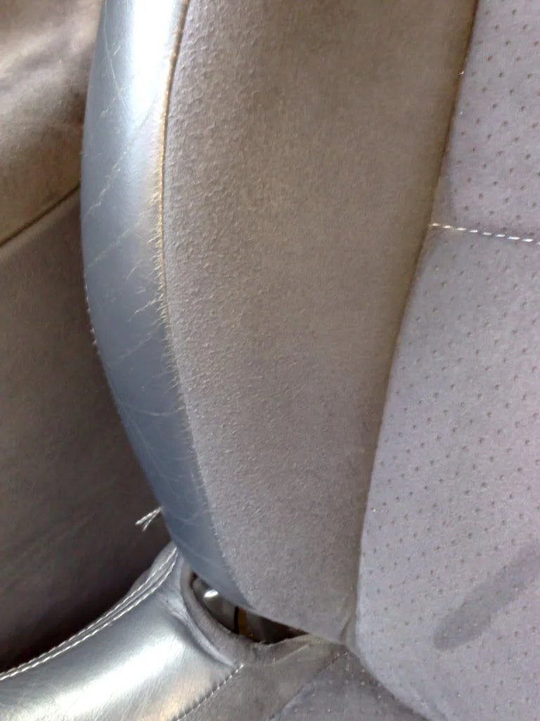 Image239.webp