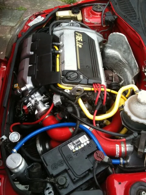 image5.webp