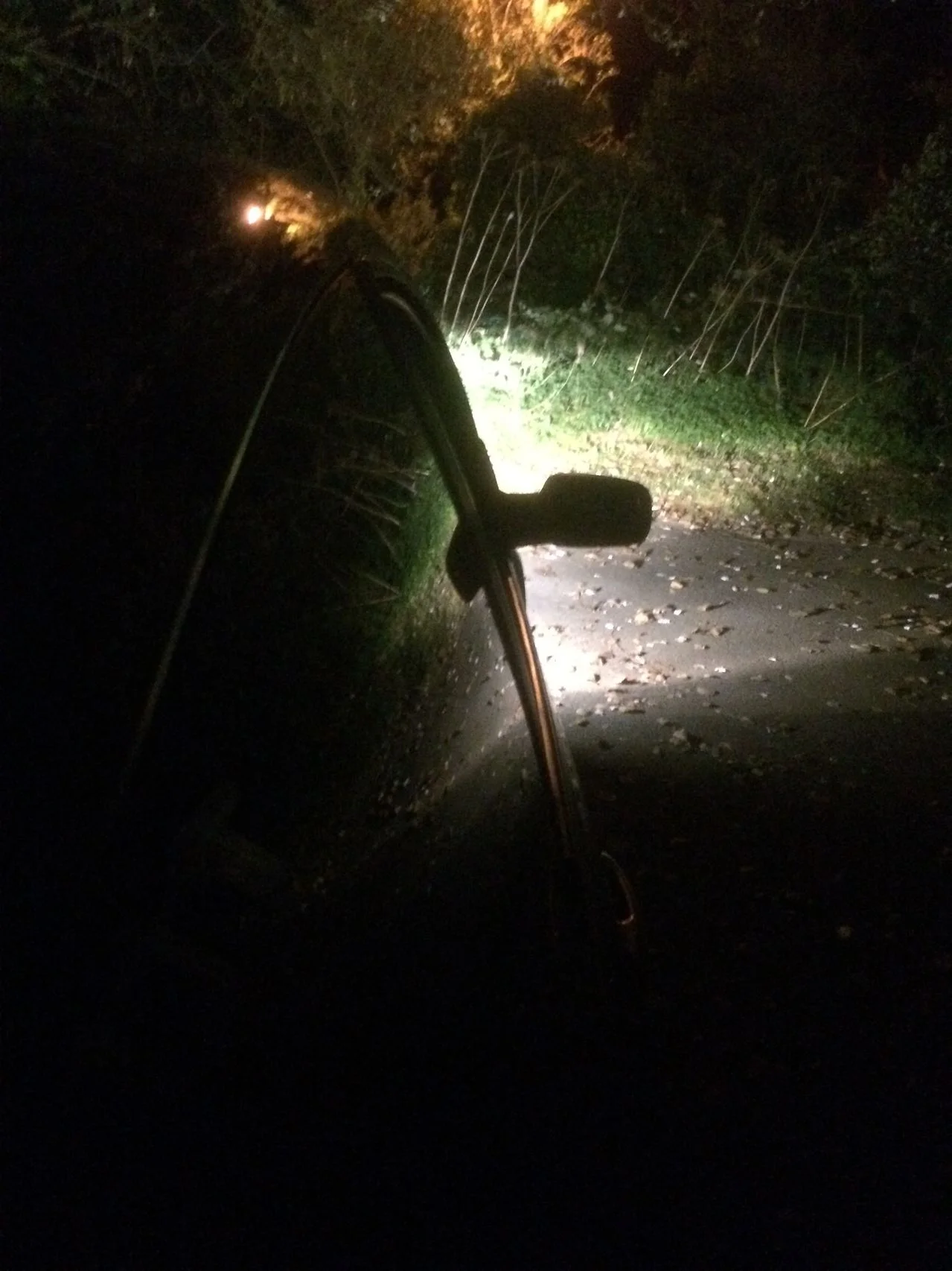 image7.webp