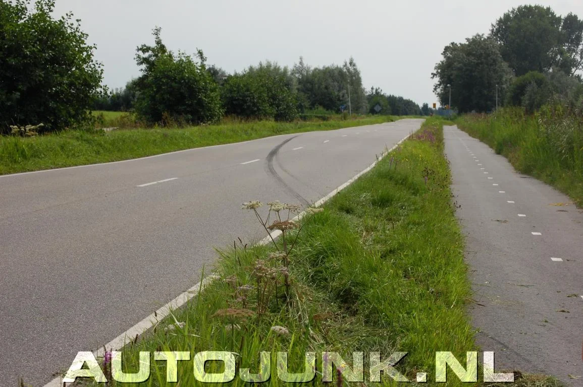 image_03.webp