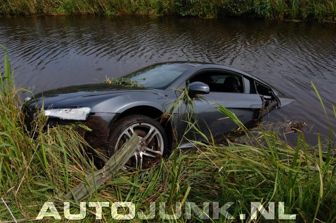 image_07.webp