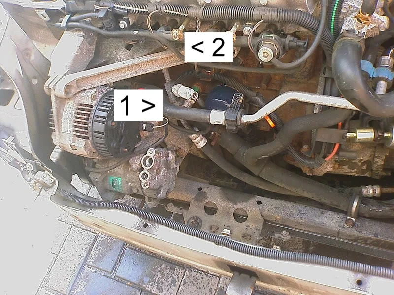 IMAGE_511-1.webp