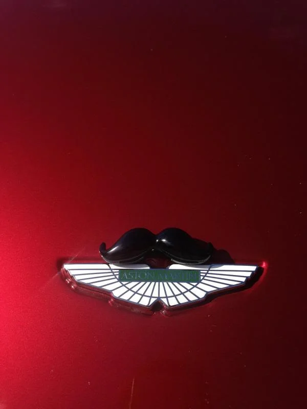 image_zps10f2f393.webp