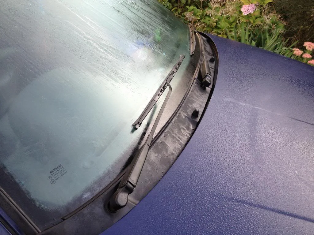 image_zps8b2672ea.webp