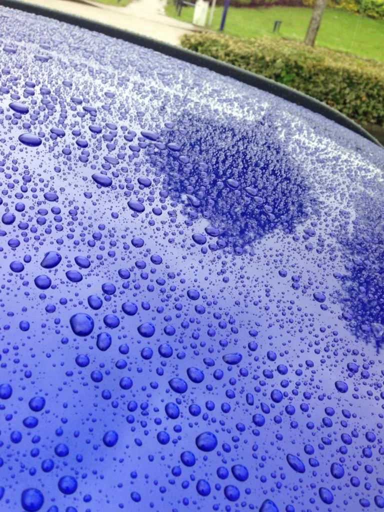 image_zps989dfa15.webp