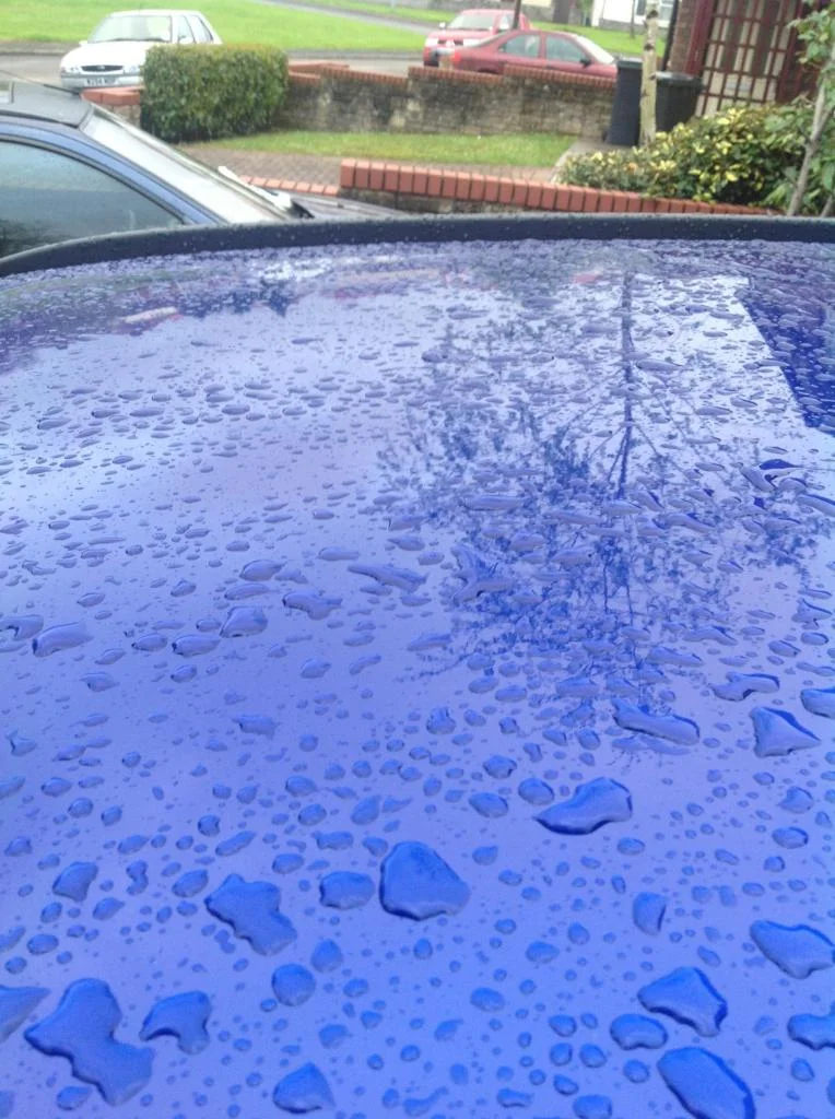 image_zpsbdf05042.webp