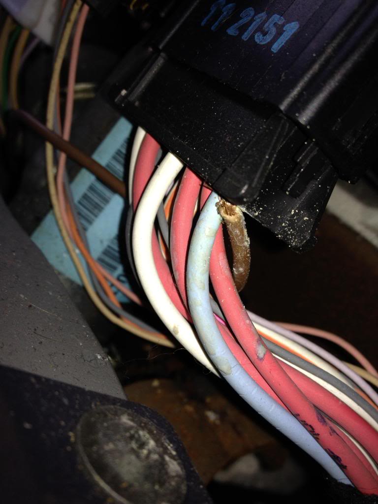 image_zpscc912c11.jpg