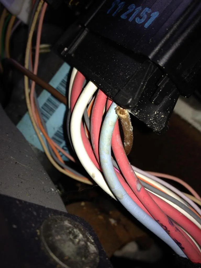 image_zpscc912c11.webp