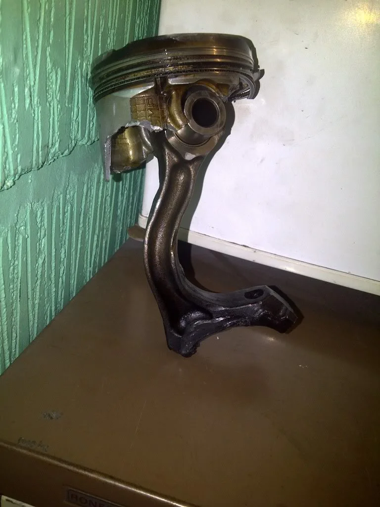 IMG-20101228-00240.webp