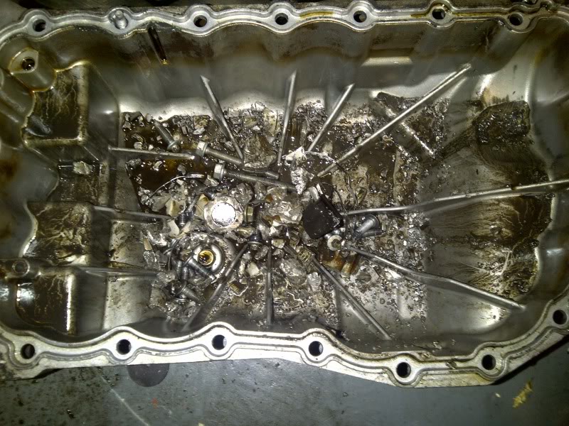 IMG-20110211-00015.jpg