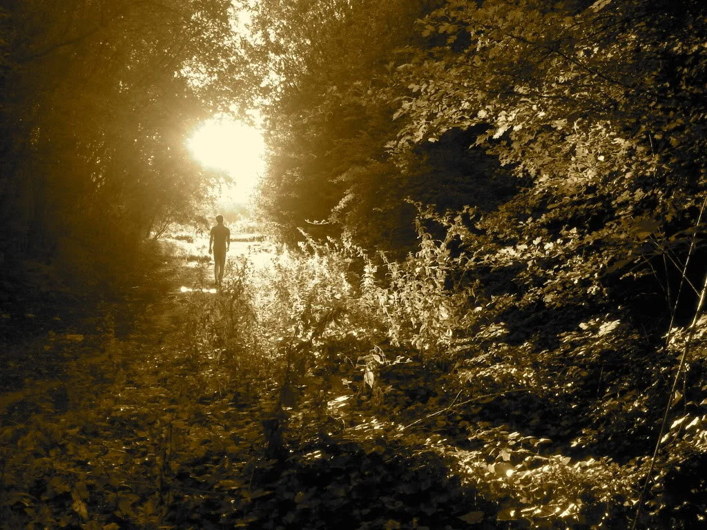 IMG-20110814-00110.webp