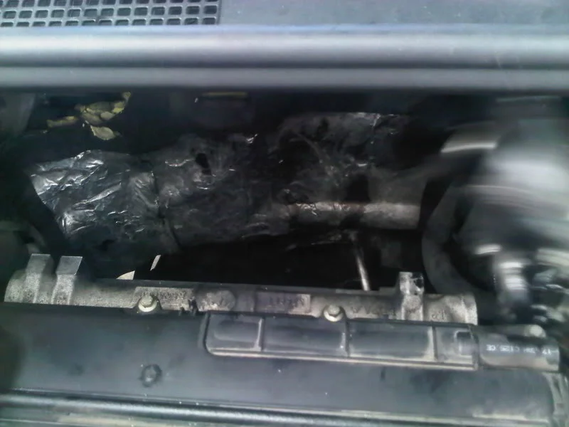 IMG-20110815-00070.webp