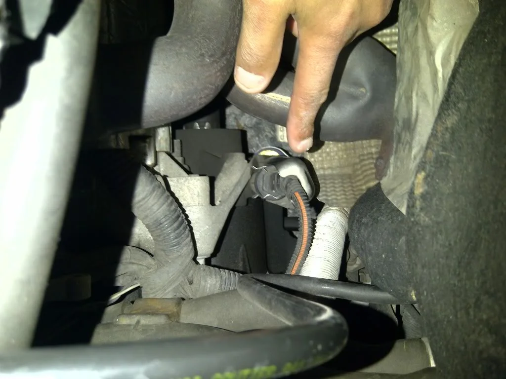IMG-20111229-00612.webp