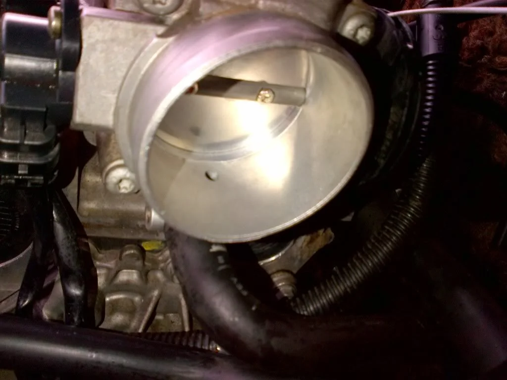 IMG-20120218-00419.webp