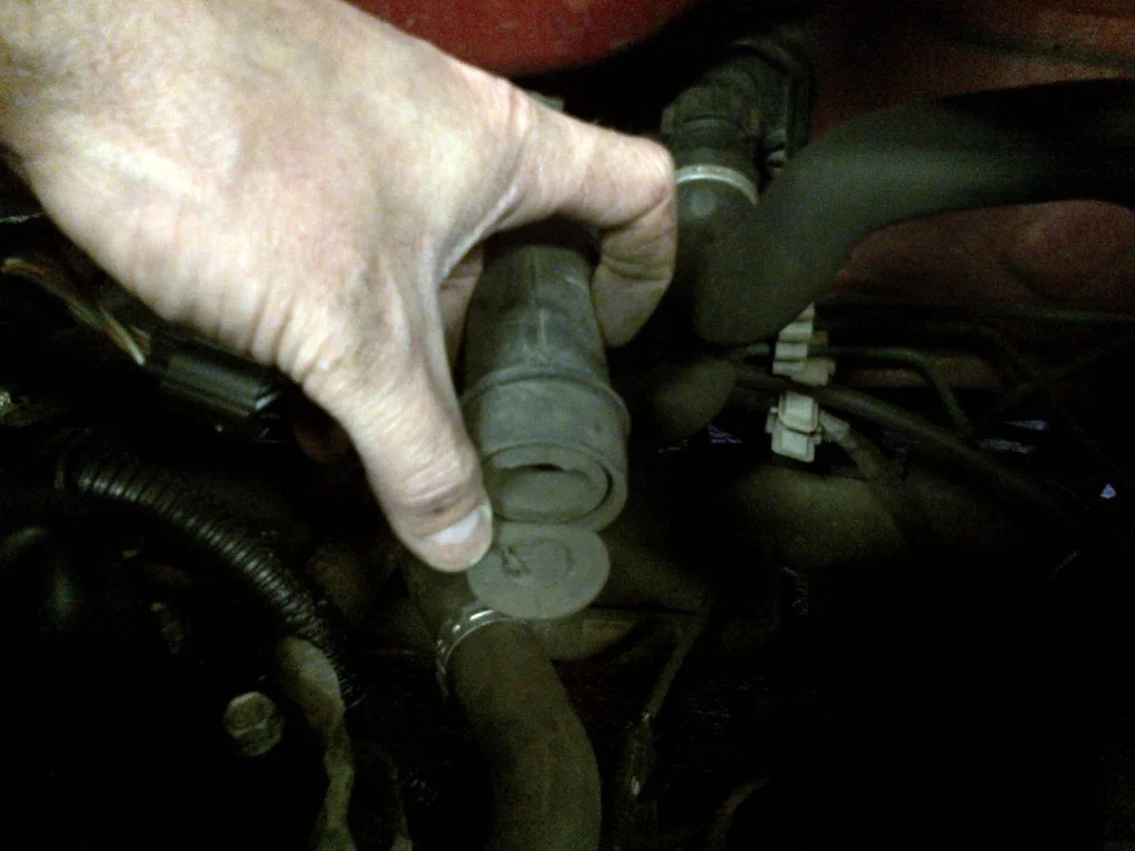 IMG-20120707-00144.webp
