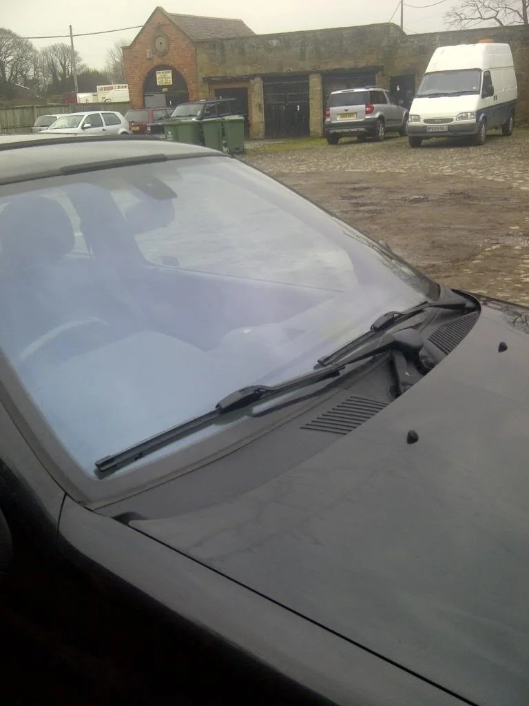 IMG-20130212-00811.webp